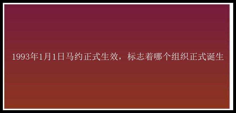 1993年1月1日马约正式生效，标志着哪个组织正式诞生