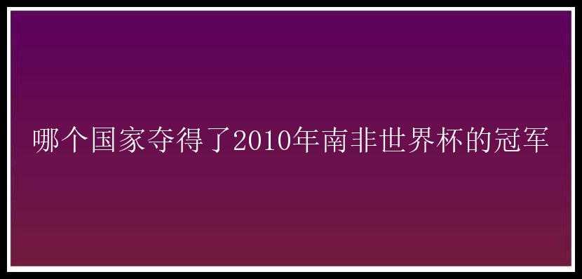 哪个国家夺得了2010年南非世界杯的冠军