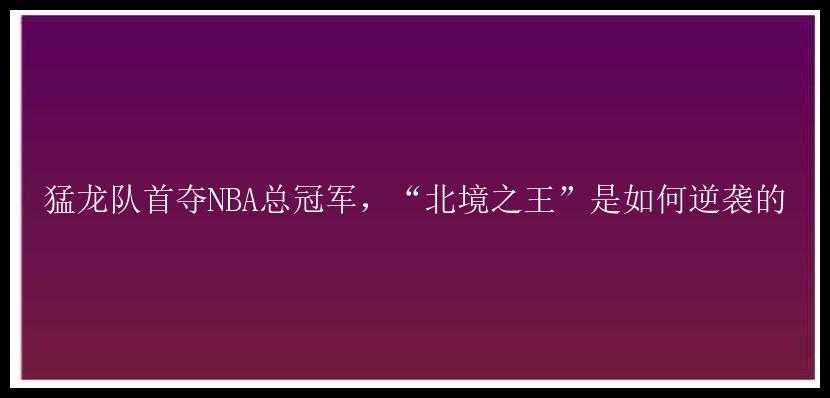 猛龙队首夺NBA总冠军，“北境之王”是如何逆袭的