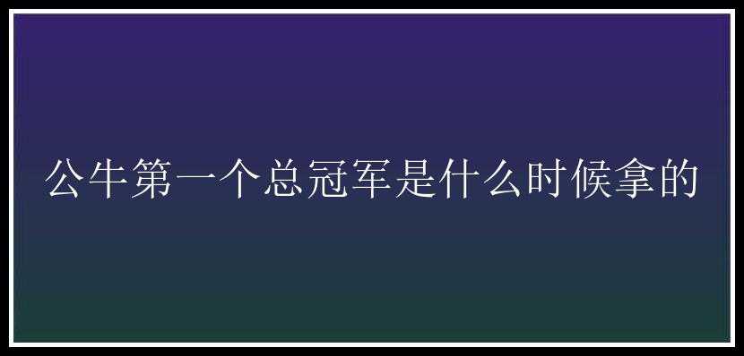 公牛第一个总冠军是什么时候拿的