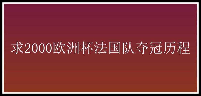 求2000欧洲杯法国队夺冠历程