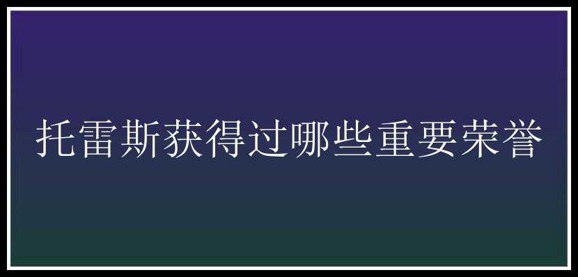 托雷斯获得过哪些重要荣誉