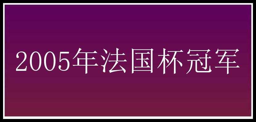 2005年法国杯冠军