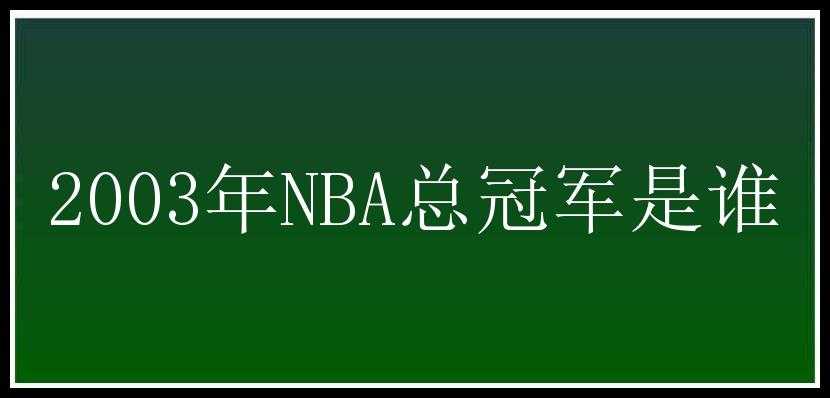 2003年NBA总冠军是谁