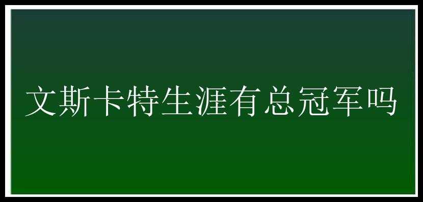 文斯卡特生涯有总冠军吗