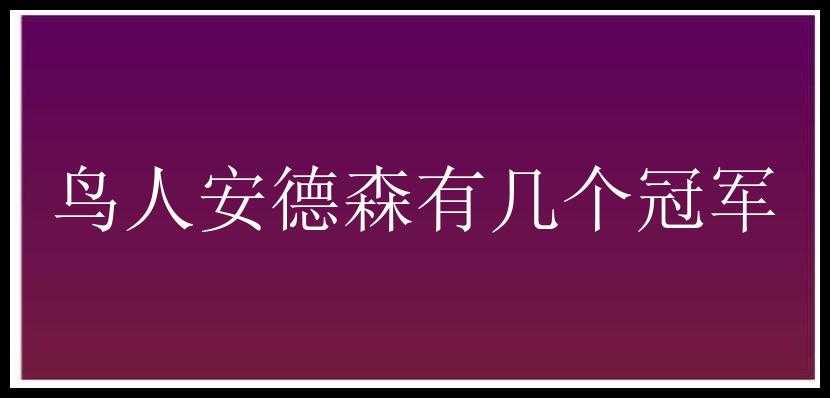 鸟人安德森有几个冠军