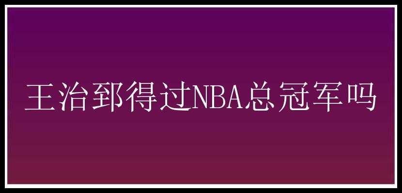 王治郅得过NBA总冠军吗