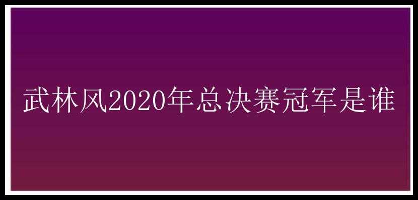 武林风2020年总决赛冠军是谁