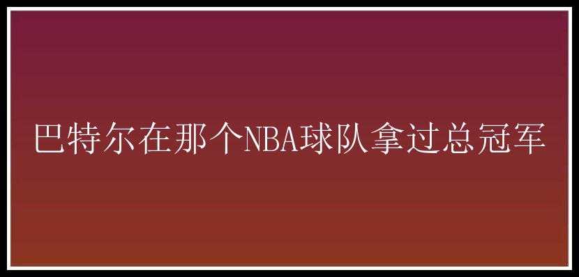 巴特尔在那个NBA球队拿过总冠军