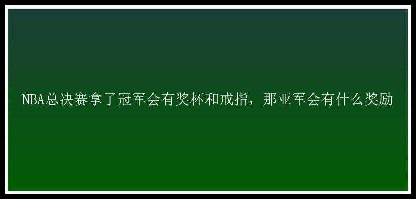 NBA总决赛拿了冠军会有奖杯和戒指，那亚军会有什么奖励