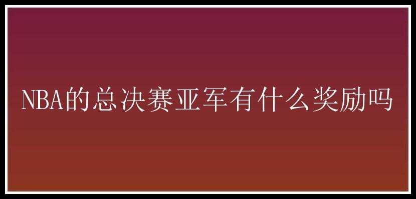 NBA的总决赛亚军有什么奖励吗