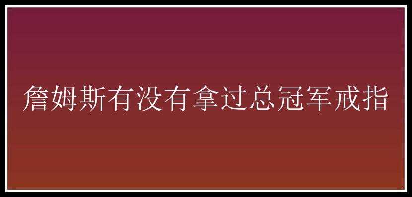 詹姆斯有没有拿过总冠军戒指