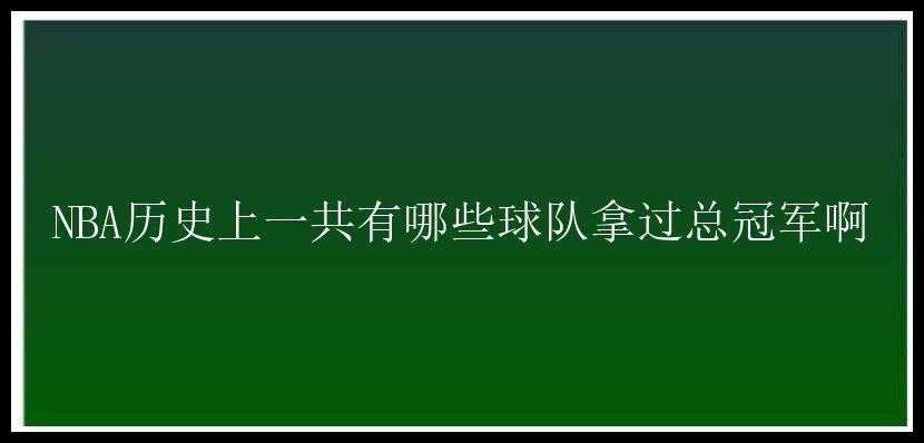 NBA历史上一共有哪些球队拿过总冠军啊