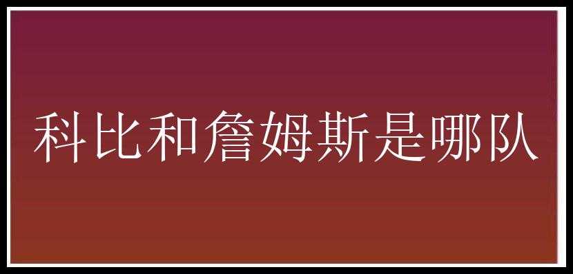 科比和詹姆斯是哪队