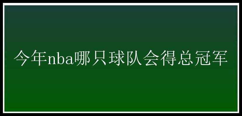 今年nba哪只球队会得总冠军