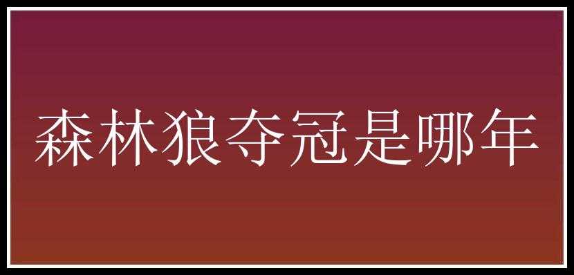 森林狼夺冠是哪年