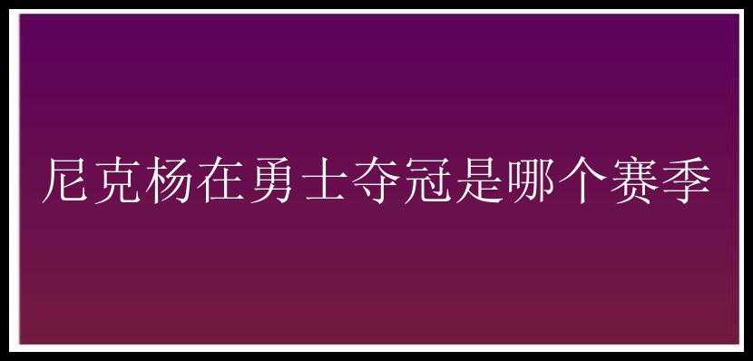 尼克杨在勇士夺冠是哪个赛季