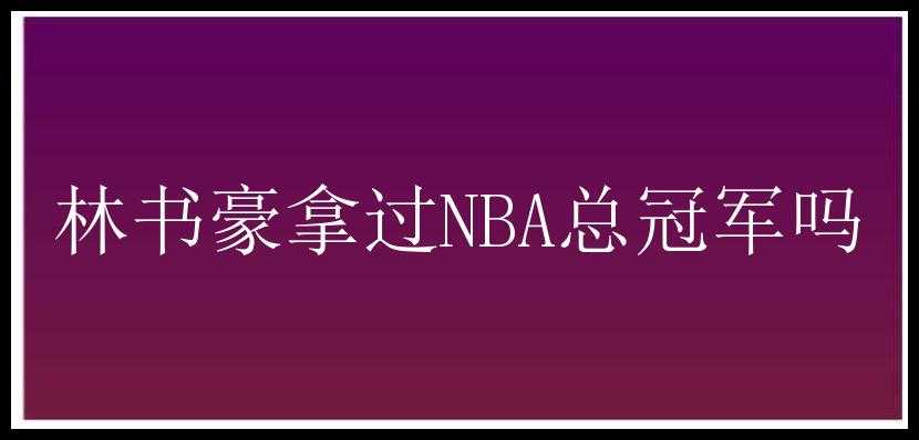 林书豪拿过NBA总冠军吗