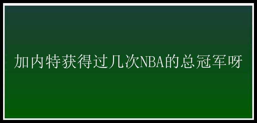 加内特获得过几次NBA的总冠军呀