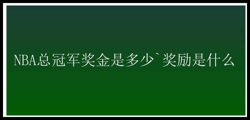 NBA总冠军奖金是多少`奖励是什么