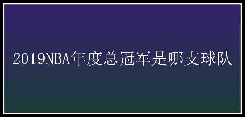 2019NBA年度总冠军是哪支球队