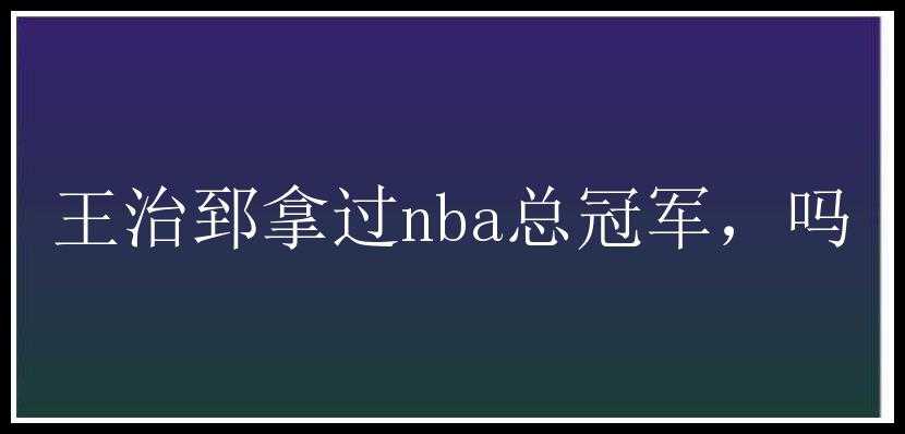 王治郅拿过nba总冠军，吗