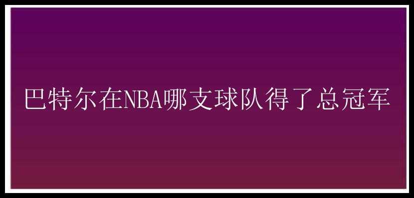 巴特尔在NBA哪支球队得了总冠军