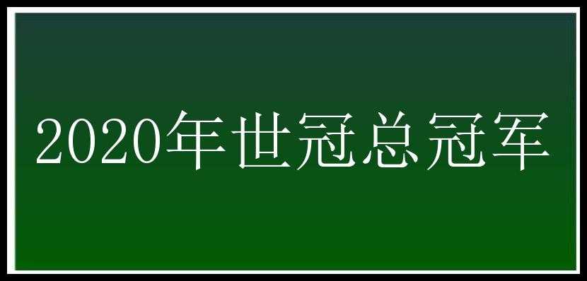 2020年世冠总冠军