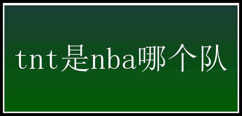 tnt是nba哪个队