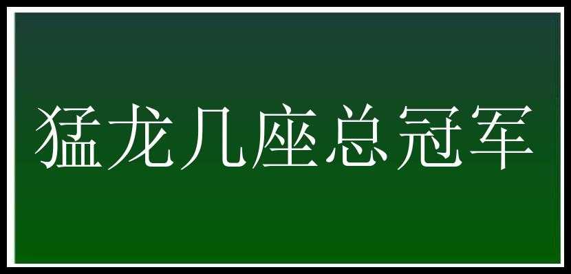 猛龙几座总冠军