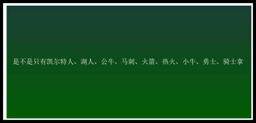 是不是只有凯尔特人、湖人、公牛、马刺、火箭、热火、小牛、勇士、骑士拿