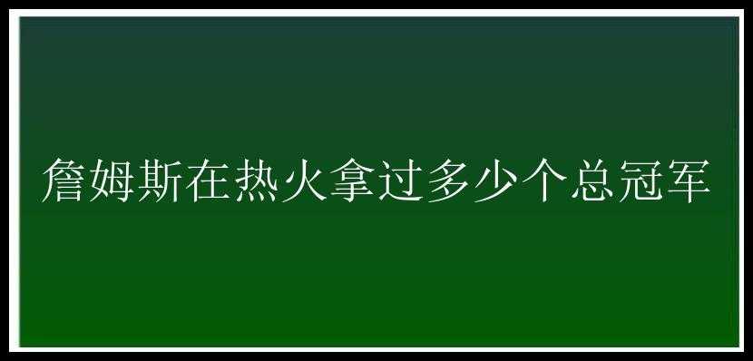 詹姆斯在热火拿过多少个总冠军