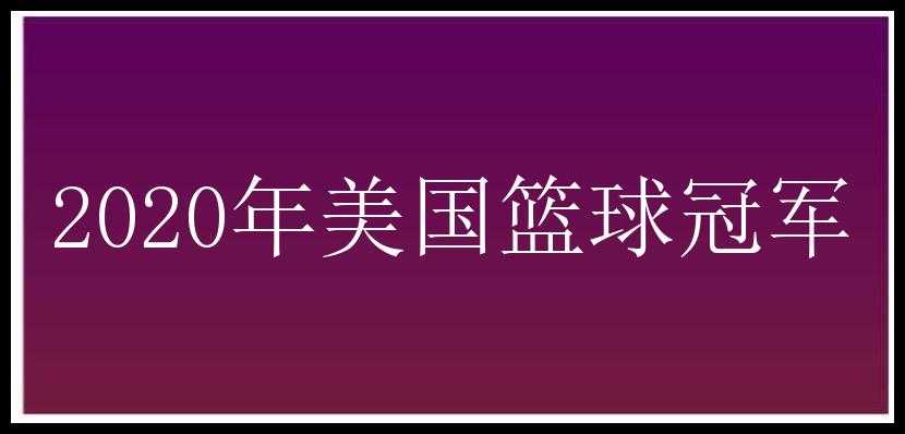 2020年美国篮球冠军