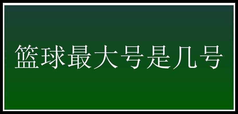 篮球最大号是几号