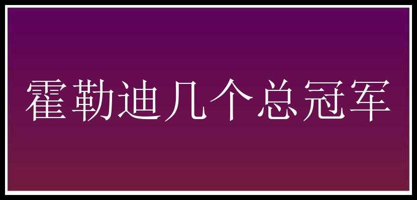 霍勒迪几个总冠军