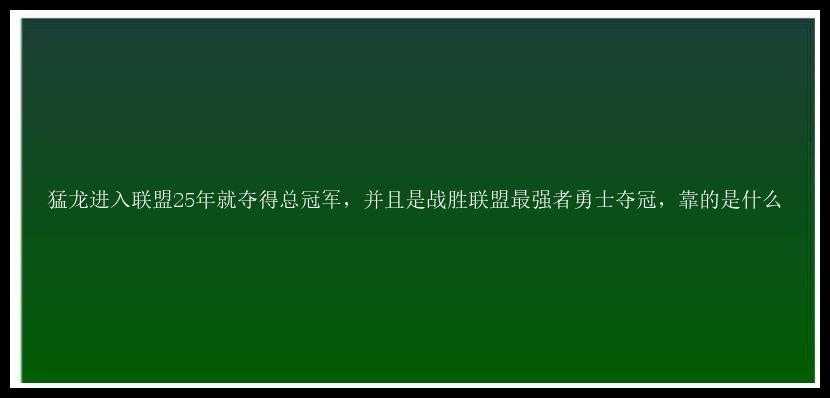 猛龙进入联盟25年就夺得总冠军，并且是战胜联盟最强者勇士夺冠，靠的是什么