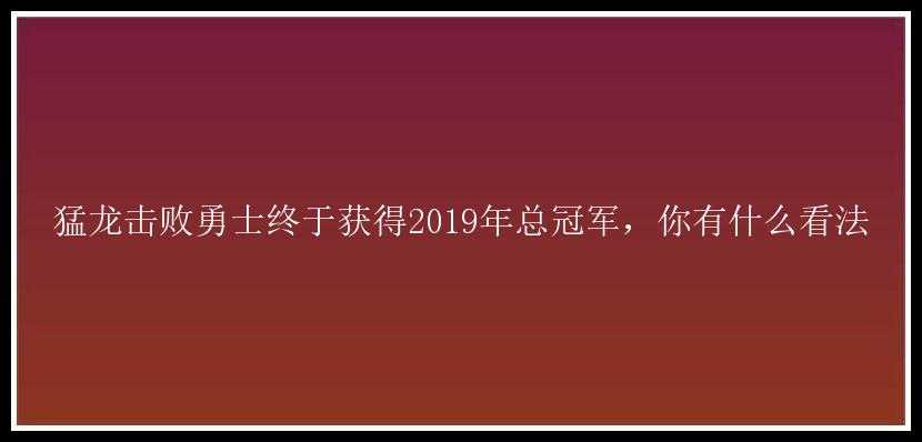 猛龙击败勇士终于获得2019年总冠军，你有什么看法