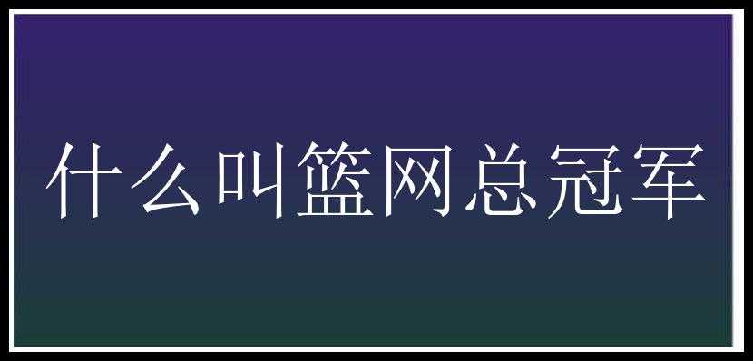 什么叫篮网总冠军