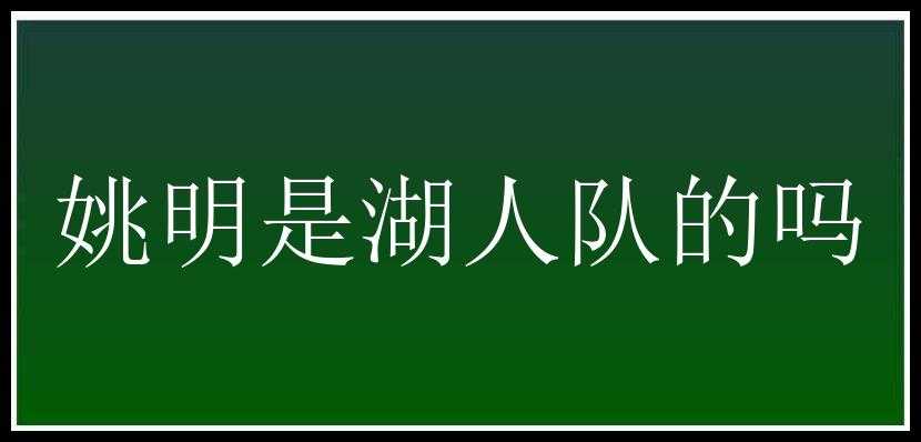 姚明是湖人队的吗