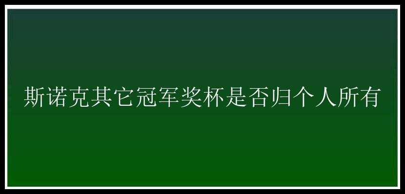 斯诺克其它冠军奖杯是否归个人所有