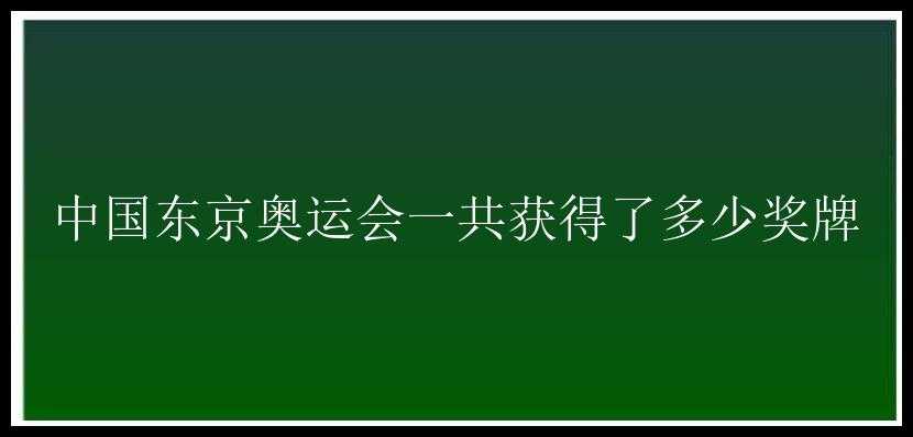 中国东京奥运会一共获得了多少奖牌