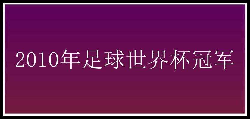 2010年足球世界杯冠军