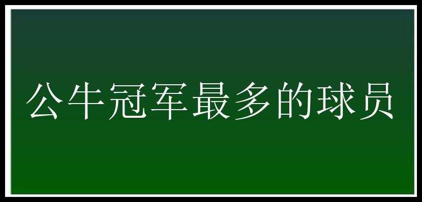 公牛冠军最多的球员