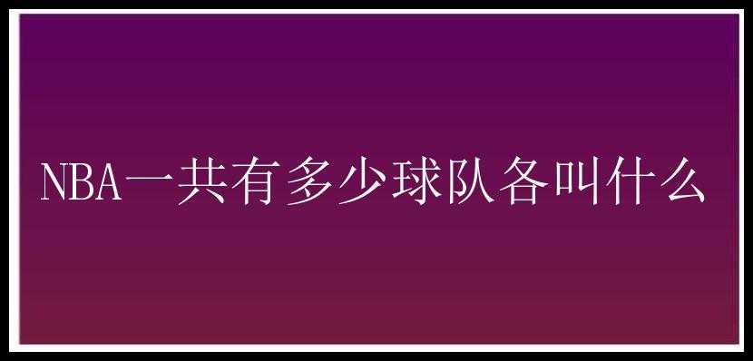 NBA一共有多少球队各叫什么