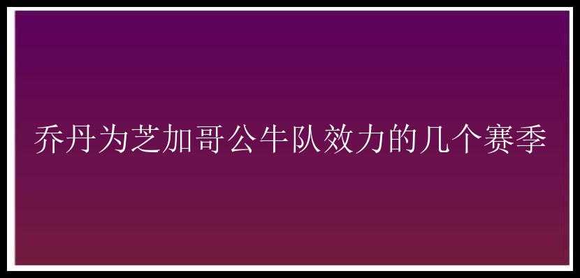 乔丹为芝加哥公牛队效力的几个赛季