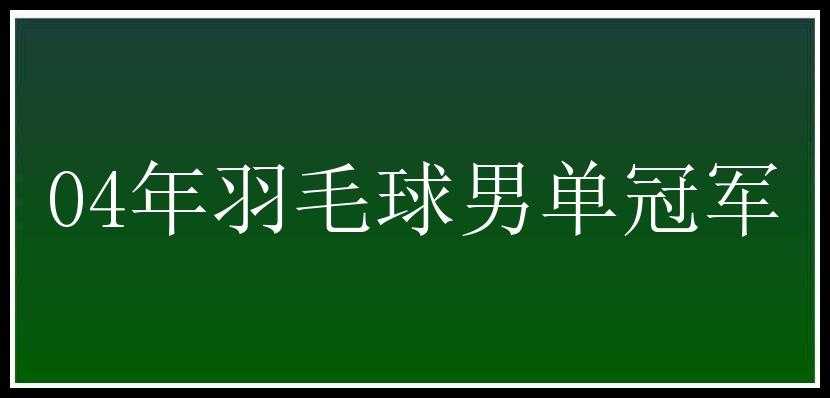 04年羽毛球男单冠军