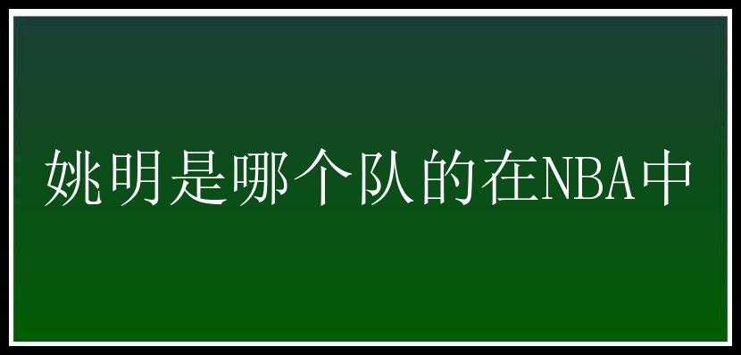 姚明是哪个队的在NBA中