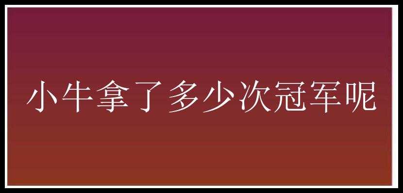 小牛拿了多少次冠军呢