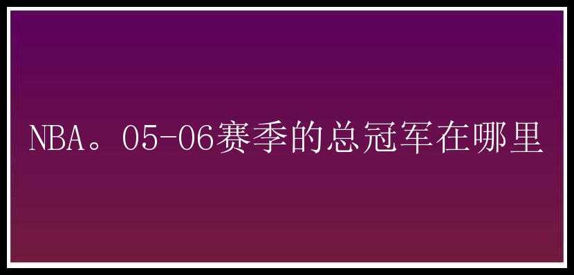 NBA。05-06赛季的总冠军在哪里