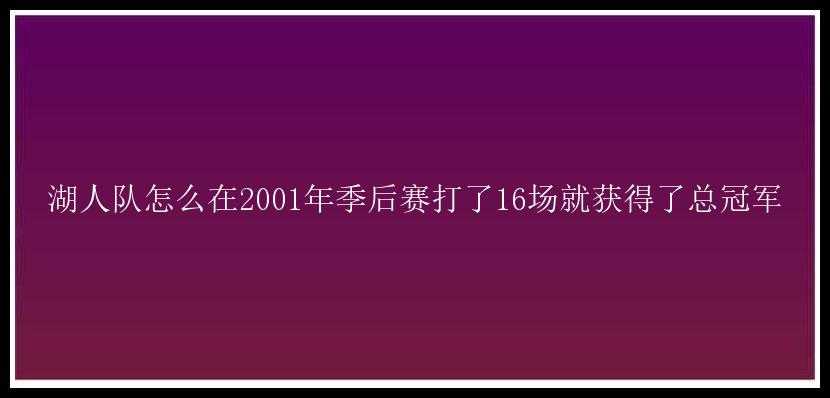 湖人队怎么在2001年季后赛打了16场就获得了总冠军